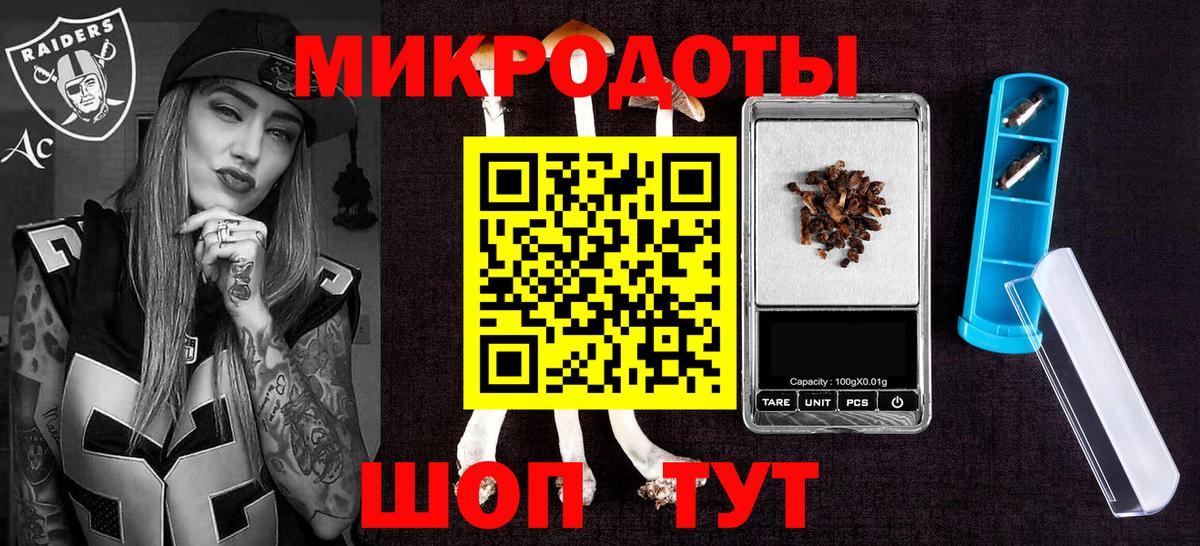 где купить наркоту  Вход с VPN  Кондопога  Псилоцибиновые грибы Psilocybine cubensis 
